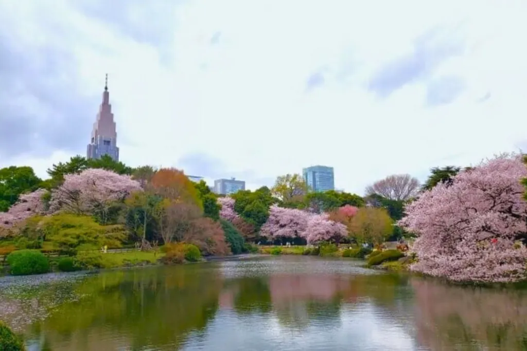 Shinjuku skyline over the garden pond
