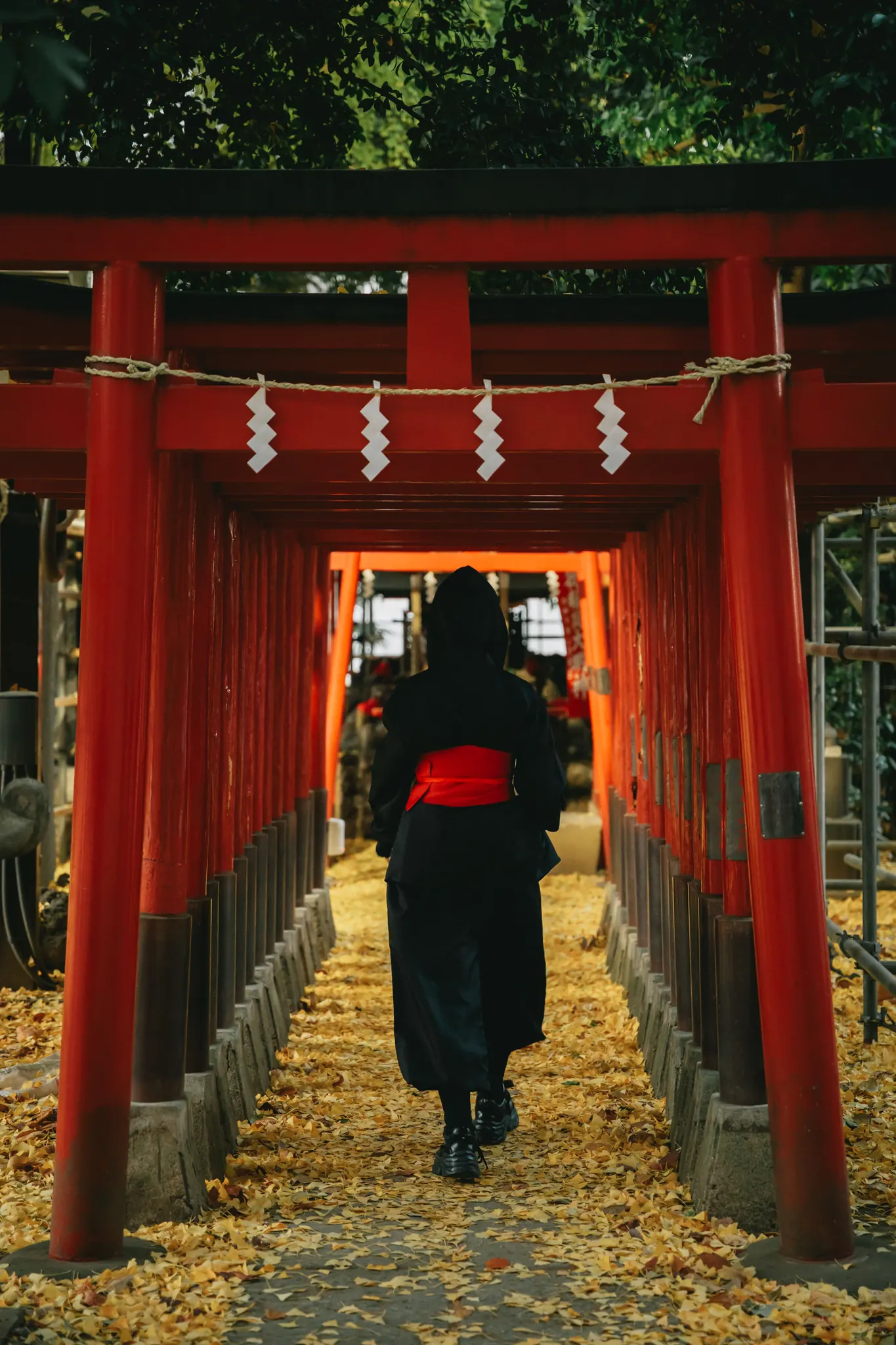 Walking through a tunnel of red torii gates carpeted with ginkgo leaves