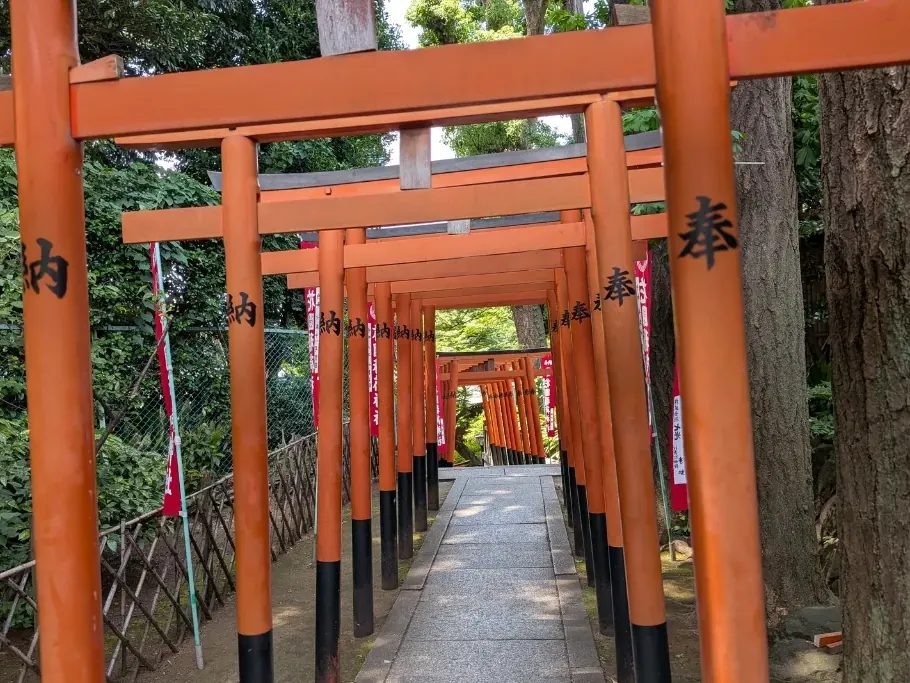 A tunnel of red torii gates in Ueno Park